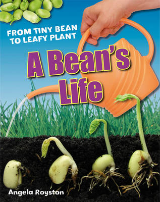 A Bean's Life: Age 6-7, below average readers - White Wolves Non Fiction (Hardback)