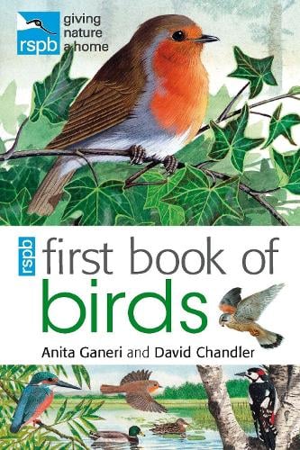 RSPB First Book Of Birds (Paperback)