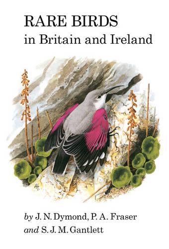 Rare Birds in Britain and Ireland - Poyser Monographs (Hardback)