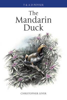 The Mandarin Duck - Poyser Monographs (Hardback)