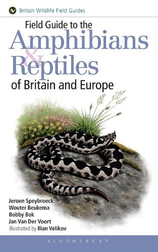Field Guide to the Amphibians and Reptiles of Britain and Europe (Paperback)
