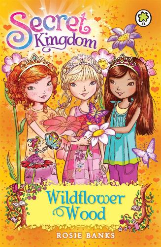 Secret Kingdom: Wildflower Wood: Book 13 - Secret Kingdom (Paperback)
