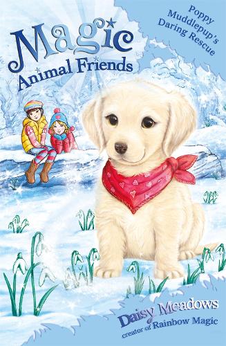 Magic Animal Friends: Poppy Muddlepup's Daring Rescue: Special 1 - Magic Animal Friends (Paperback)