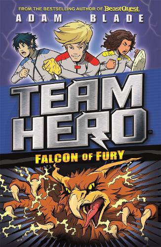 Falcon of Fury: Series 2 Book 3 - Team Hero (Paperback)