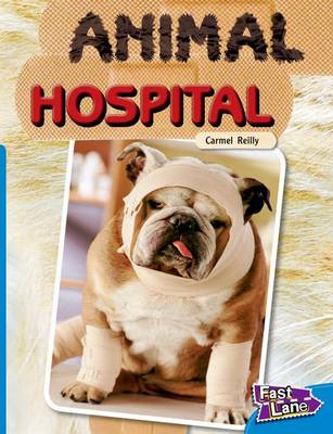 Animal Hospital Fast Lane Blue Non-Fiction (Paperback)