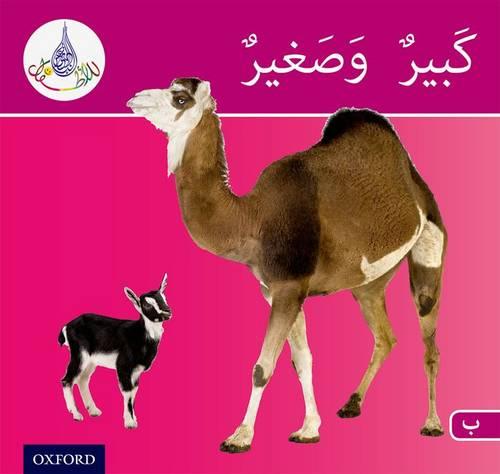 The Arabic Club Readers: Pink Band B: Big and Small - The Arabic Club Readers (Paperback)