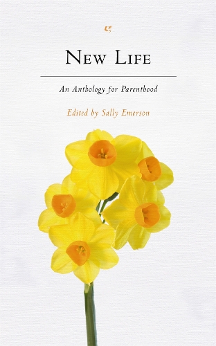 New Life: An Anthology For Parenthood (Paperback)