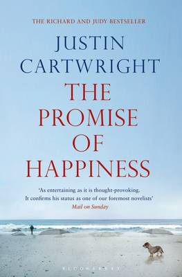 The Promise of Happiness (Paperback)