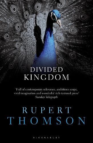 Divided Kingdom - Rupert Thomson