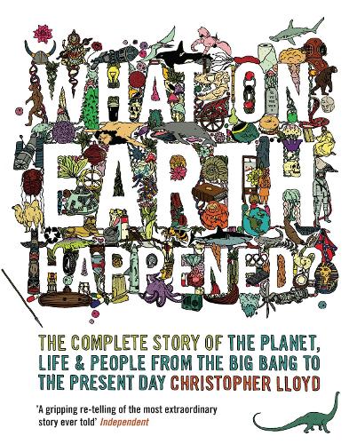 What on Earth Happened?: The Complete Story of the Planet, Life and People from the Big Bang to the Present Day (Paperback)