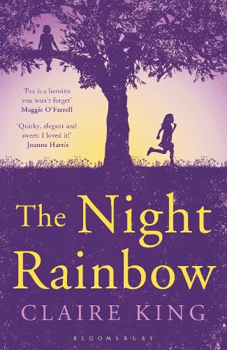 The Night Rainbow (Paperback)