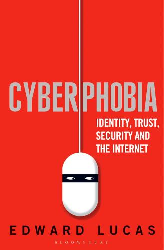 Cyberphobia: Identity, Trust, Security and the Internet (Paperback)