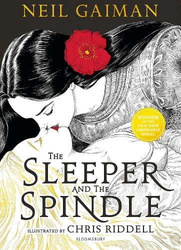 chris riddell the sleeper and the spindle