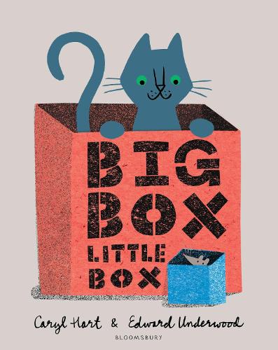 Big Box Little Box (Paperback)