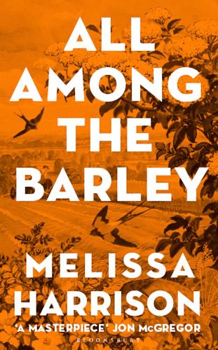 All Among The Barley Hardback