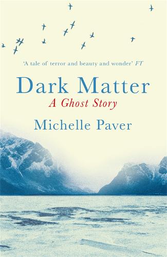 Book cover of Dark Matter