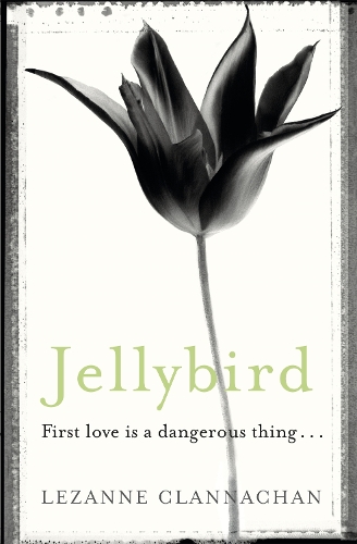 Jellybird (Paperback)