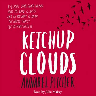 Cover of the book, Ketchup Clouds.