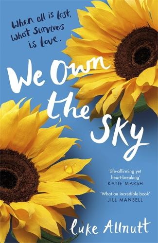 We Own The Sky (Hardback)