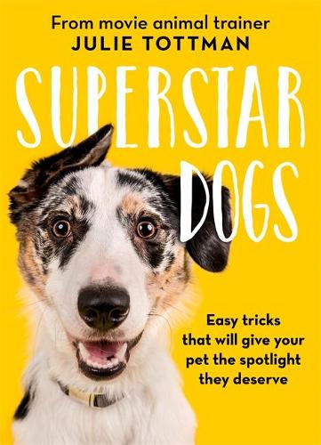 superstar dogs superstar dogs