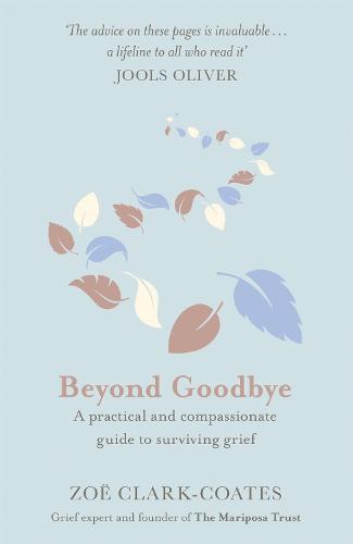 Beyond Goodbye: A practical and compassionate guide to surviving grief, with day-by-day resources to navigate a path through loss (Paperback)
