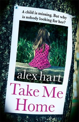 Take Me Home (Paperback)