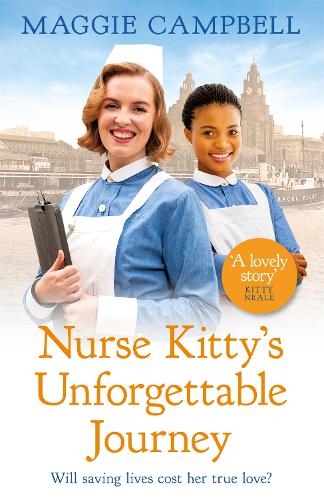 Nurse Kitty's Unforgettable Journey (Paperback)