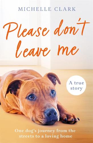 The Street Dog Who Found a Home (Paperback)