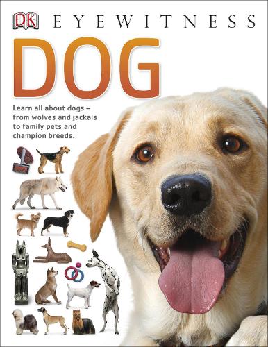 Dog - Eyewitness (Paperback)