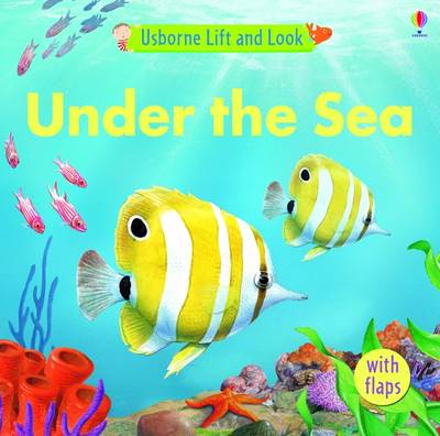 Under the Sea - Lift and Look S. (Board book)