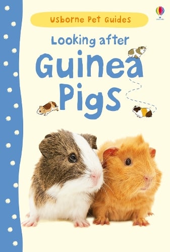 Looking after Guinea Pigs - Pet Guides (Hardback)