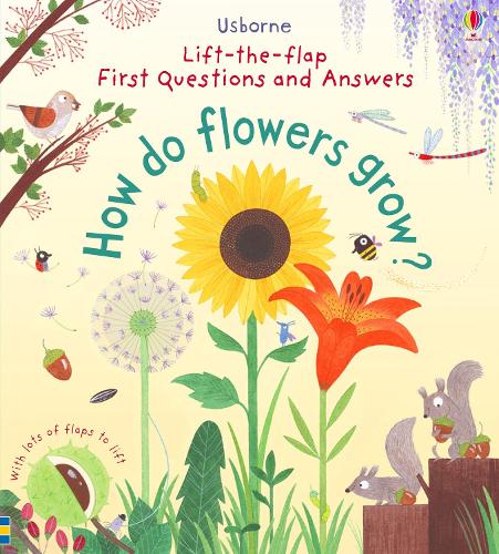 Katie Daynes First Questions and Answers: How do flowers grow?