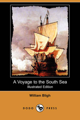 A Voyage to the South Sea (Illustrated Edition) (Dodo Press) (Paperback)
