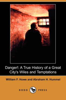 Danger!: A True History of a Great City's Wiles and Temptations (Dodo Press) (Paperback)