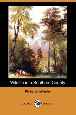 Wildlife in a Southern County (Dodo Press) (Paperback)