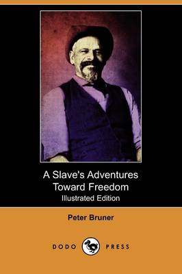 A Slave's Adventures Toward Freedom (Illustrated Edition) (Dodo Press) (Paperback)