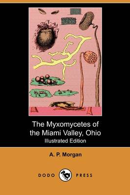 The Myxomycetes of the Miami Valley, Ohio (Illustrated Edition) (Dodo Press) (Paperback)