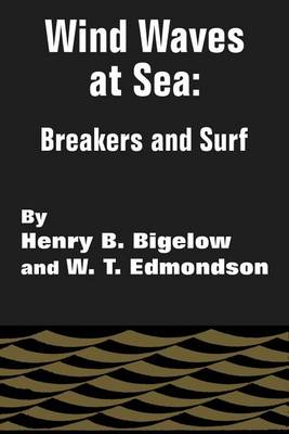 Wind Waves at Sea: Breakers and Surf (Paperback)