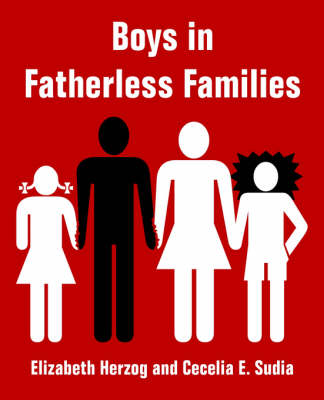 Boys in Fatherless Families (Paperback)