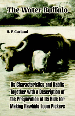 The Water Buffalo: Its Characteristics and Habits Together with a Description of the Preparation of Its Hide for Making Rawhide Loom Pickers (Paperback)