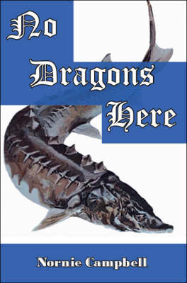 No Dragons Here (Paperback)