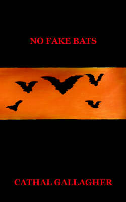 No Fake Bats (Paperback)