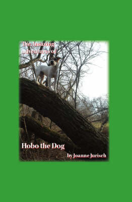 The Amazing Adventures of Hobo the Dog (Paperback)