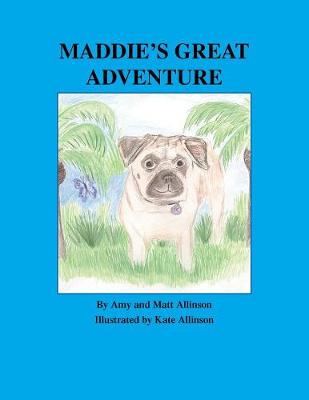 Maddie's Great Adventure (Paperback)