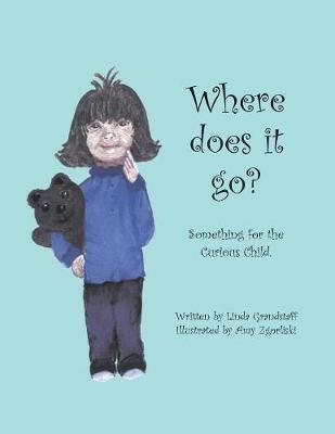 Where Does it Go?: Something for the Curious Child (Paperback)