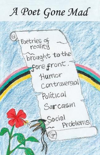 A Poet Gone Mad (Paperback)
