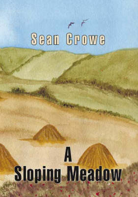 A Sloping Meadow (Paperback)