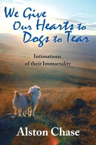 We Give Our Hearts to Dogs to Tear: Intimations of Their Immortality (Paperback)