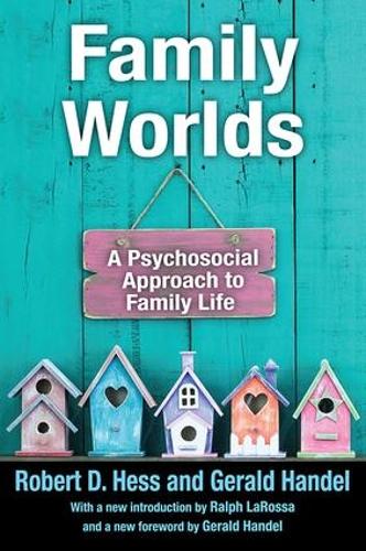 Family Worlds: A Psychosocial Approach to Family Life (Paperback)