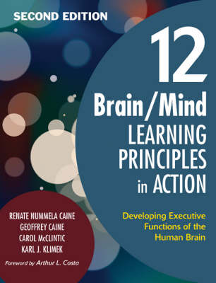 12 Brain/Mind Learning Principles in Action: Developing Executive Functions of the Human Brain (Paperback)